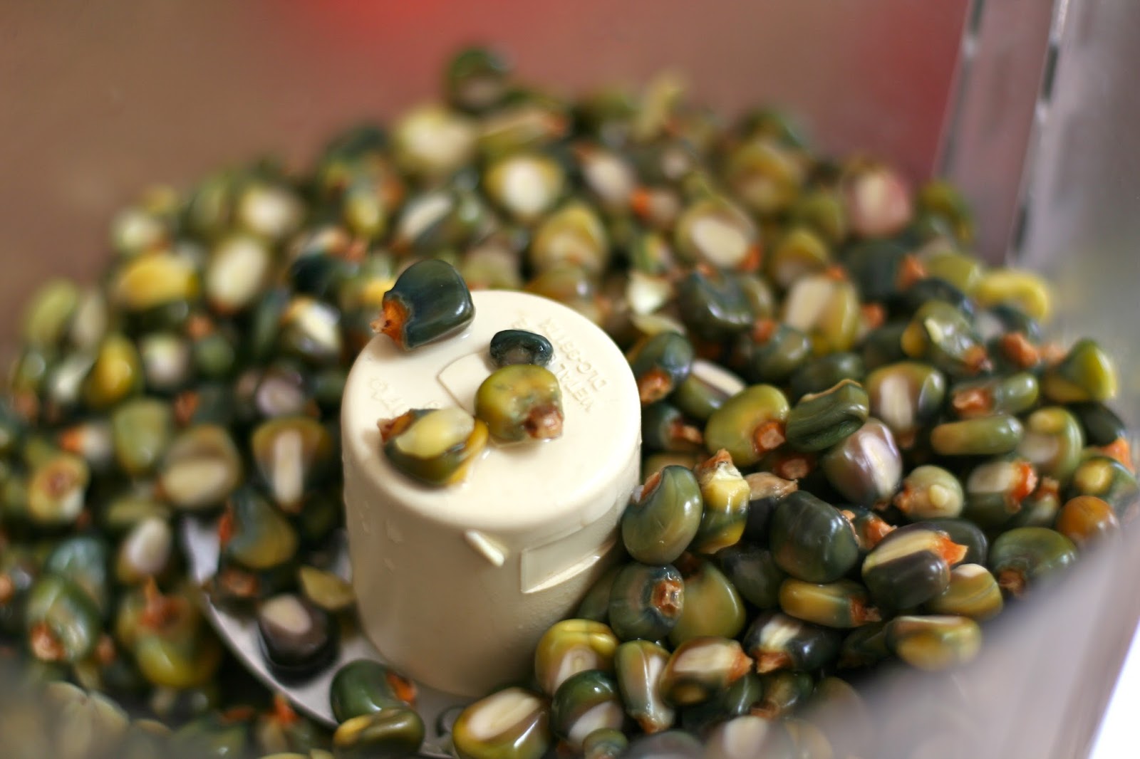 You have to cook it right Green Corn Tortillas