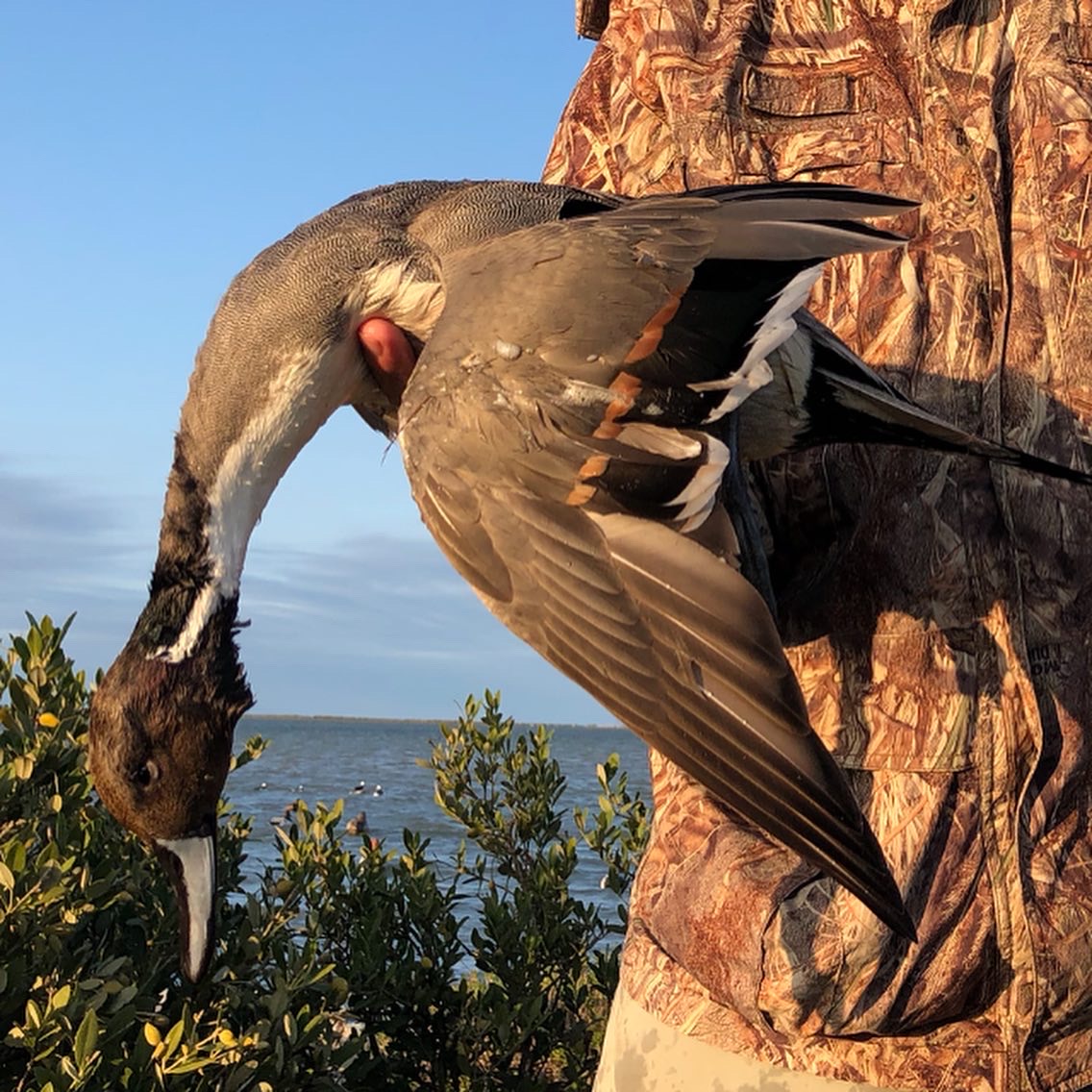 Laguna Madre fly fishing, flyfishing, redfish, Kingfisher Flyfishing