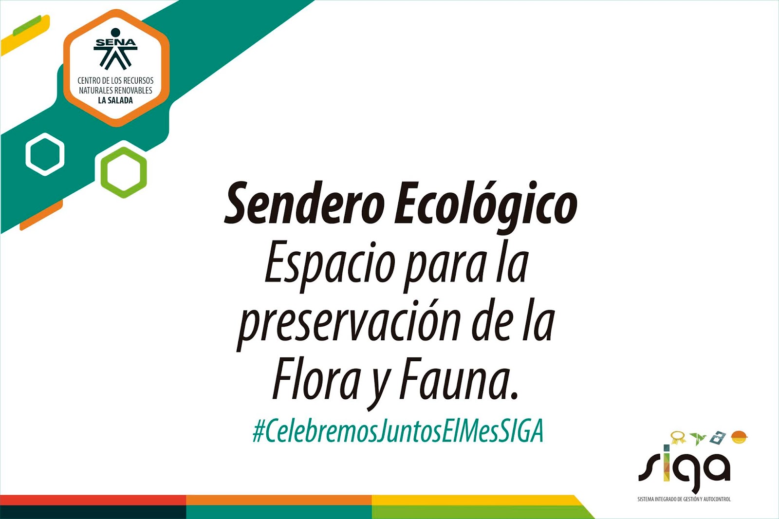 Centro De Los Recursos Naturales Renovables La Salada Sena Regional Antioquia