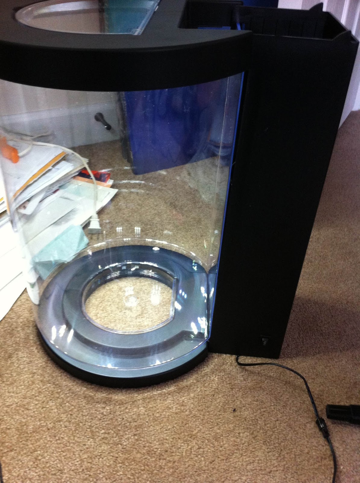 Raising Pet Jellyfish New DIY Jellyfish Tank