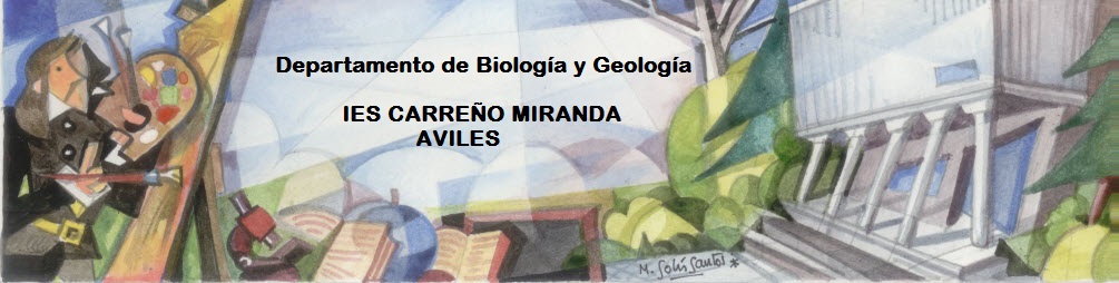 Departamento de Biología y Geología -  IES Carreño Miranda - Avilés