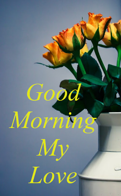 Latest Best Good Morning Wishes.