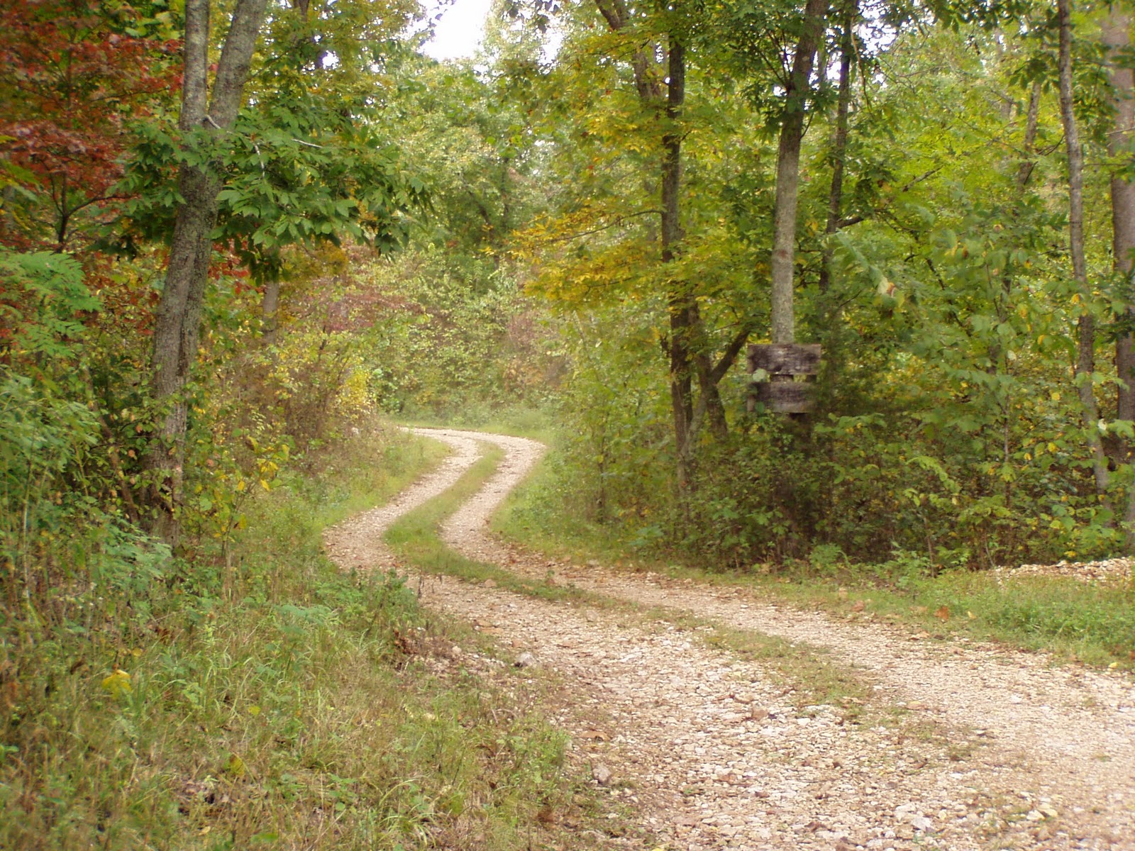 Ozark Mountain Family Homestead Secret Places in the Ozark Mountains