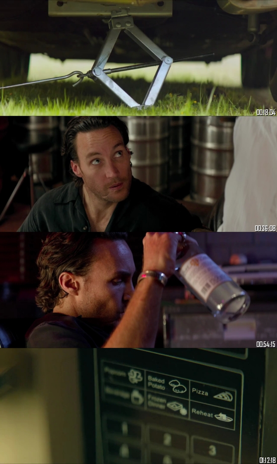 Kill Me Three Times 2014 BRRip 720p 480p Dual Audio Hindi English Full Movie Download