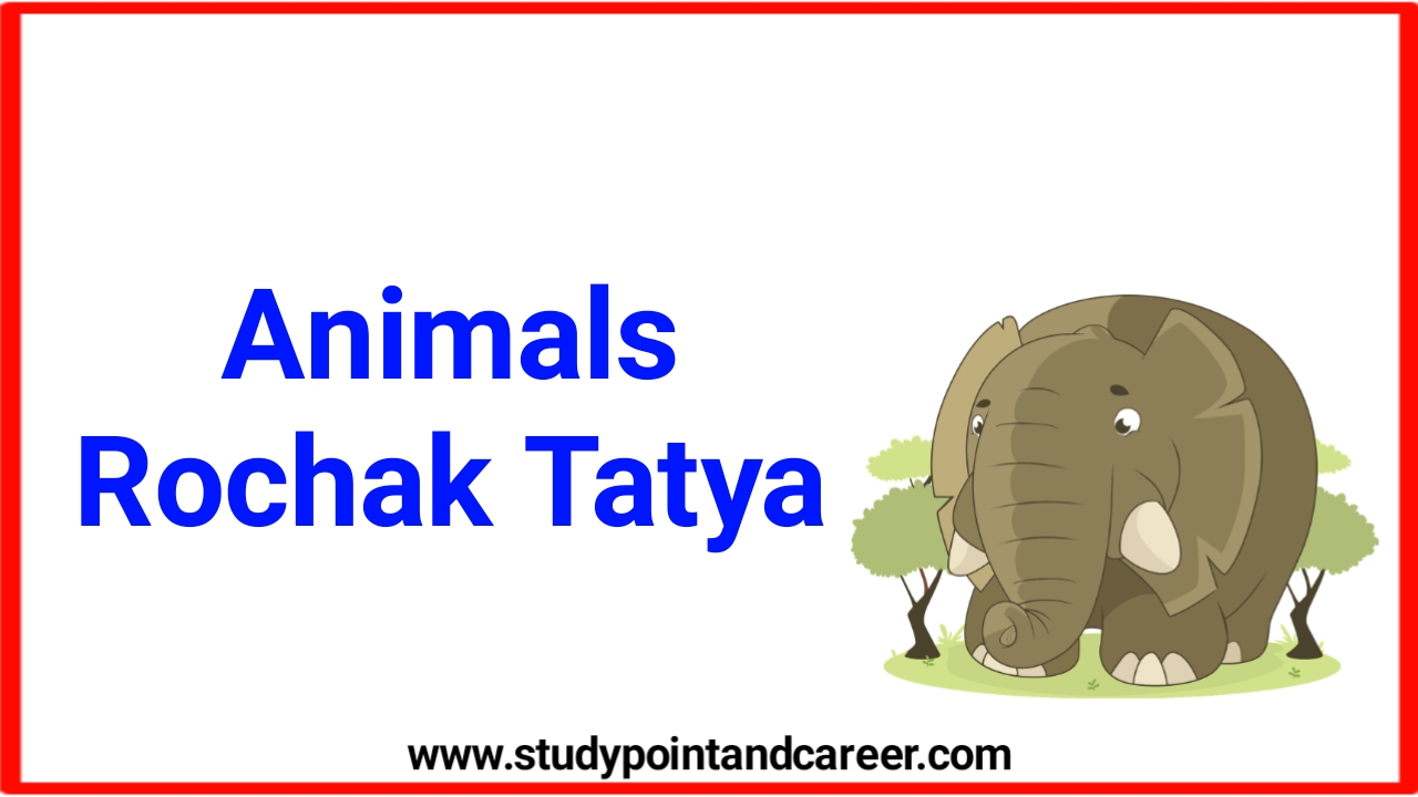 जानवरों के बारे में 140 रोचक जानकारी - Animals Facts in Hindi 2023 ~ Study  Point and Career