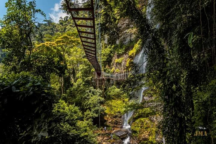 New canopy walk way built at Amedzofe in the Volta Region 2 Amedzofe walkway