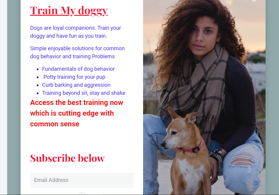 Train My Doggy