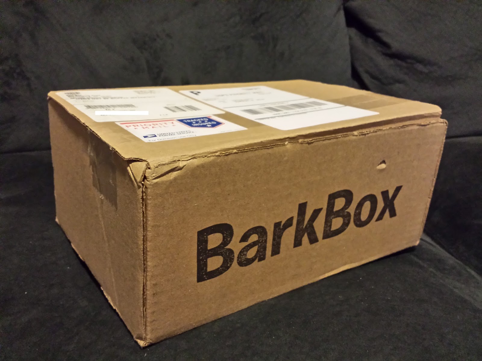 barkbox splashpad barkbox splashpad