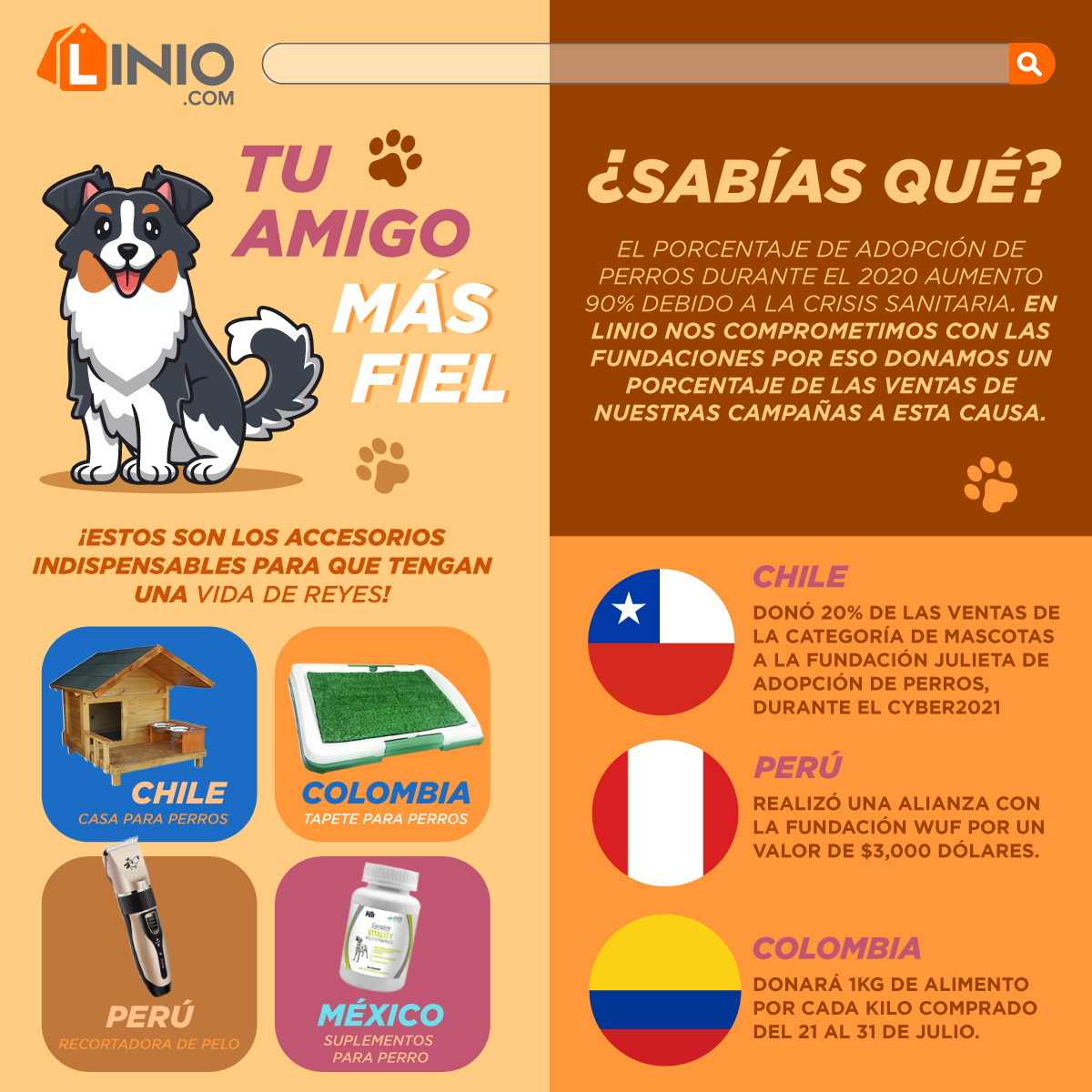 Mix News Colombia: Infografía Día Del Perro - Linio Colombia