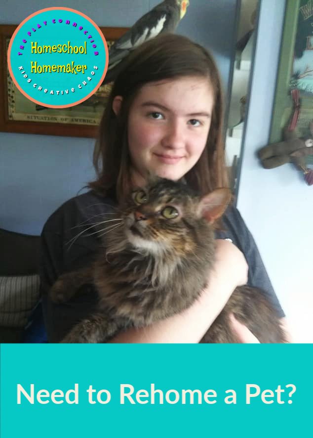 Rehoming Pets after a Life Change Adventures of Kids Creative Chaos