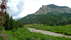 camping date night surprise trip pup seems too lot plus