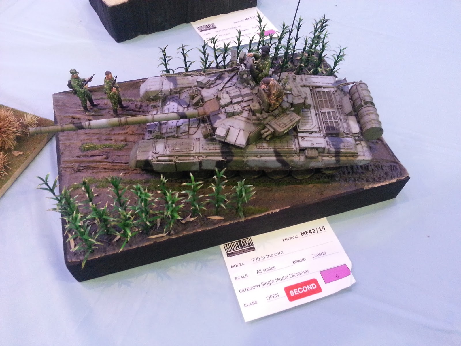 Dave's Model Thoughts on model competition judging