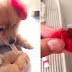 Dog Suffers Severe Allergic Reaction After Owner Dyed Her Pink, Ends Up Losing An Ear