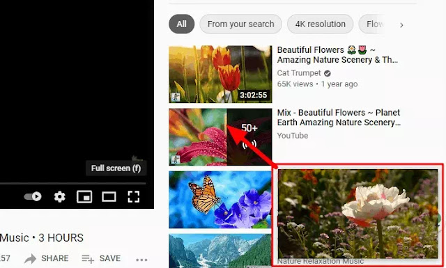 How to Enable Picture in Picture Mode in Microsoft Edge-2 Browser How to Enable Picture in Picture Mode in Microsoft Edge-2 Browser