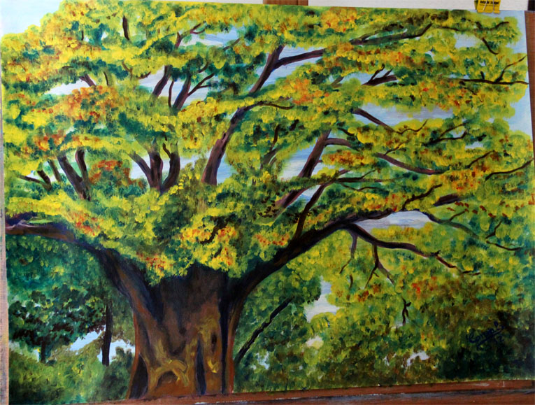 sueños_que_despiertan: 