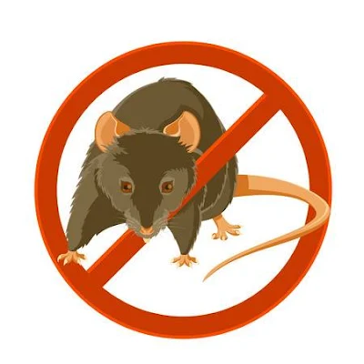 Penjelasan Lengkap Pengendalian Vektor (Hama) Tikus: Pengendalian Kimia, Lingkungan, Biologi, Fisik dan Mekanik