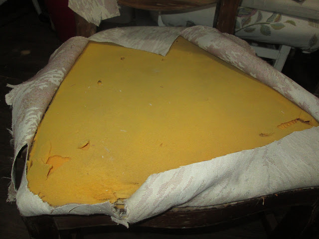 IMG 0030 - כסא נסיכה-קפיטונז'