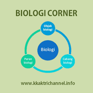 Jelaskan perbedaan antara bioteknologi konvensional dengan bioteknologi modern
