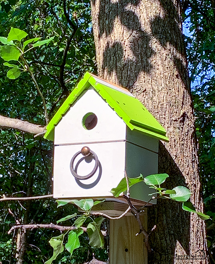 Bird house in tree
