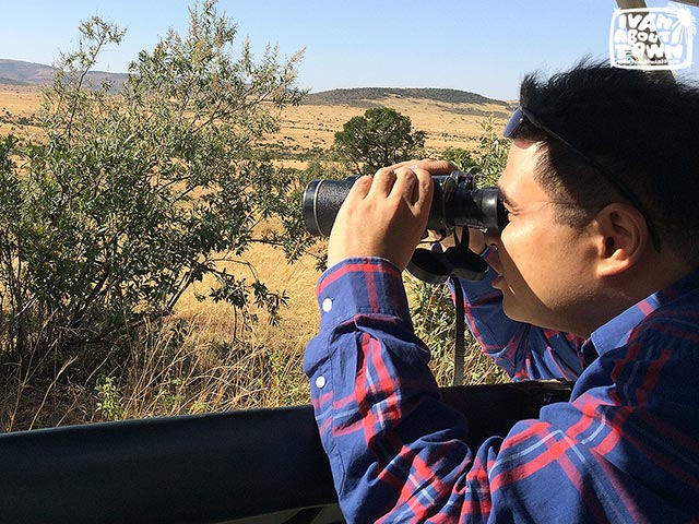 Safari game drive at Maasai Mara National Reserve in Kenya