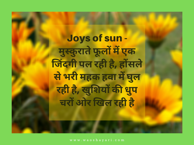 good morning flowers images for whatsapp status best wishes for good morning