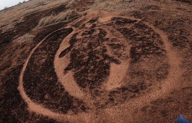 Petroglyph in Ratnagiri, Maharashtra, India, depicting the Winged Scarab