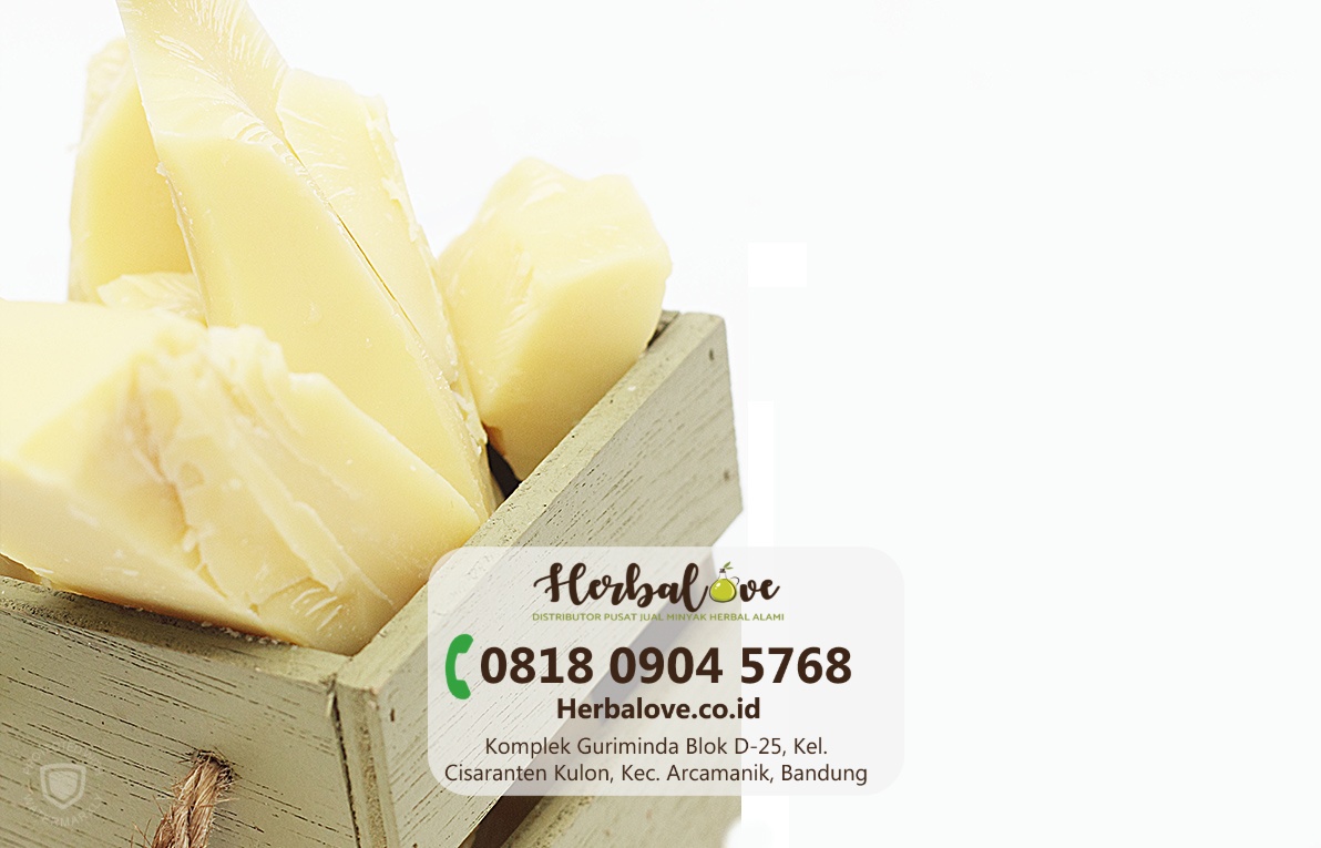 distributor cocoa butter Tangerang” height=