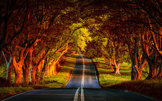 New CB Background HD Photo For Picsart Editing Download Zip -- new hd cb background pic New CB Background HD Photo For Picsart Editing Download Zip -- new hd cb background pic