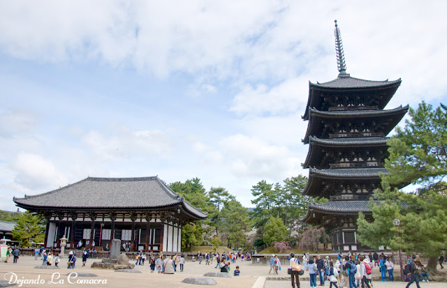 Día 10 - Nara - Osaka - Japón primavera 2016 - 18 días (con bajo presupuesto) (8)