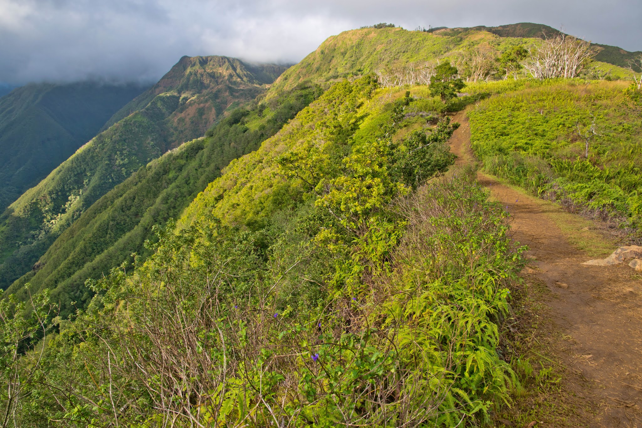 Hiking Shenandoah Waihee Ridge