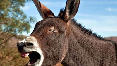 LA PALABRA DE VICENTE FERRER EN AÍNSA LA PALABRA DE VICENTE FERRER EN AÍNSA