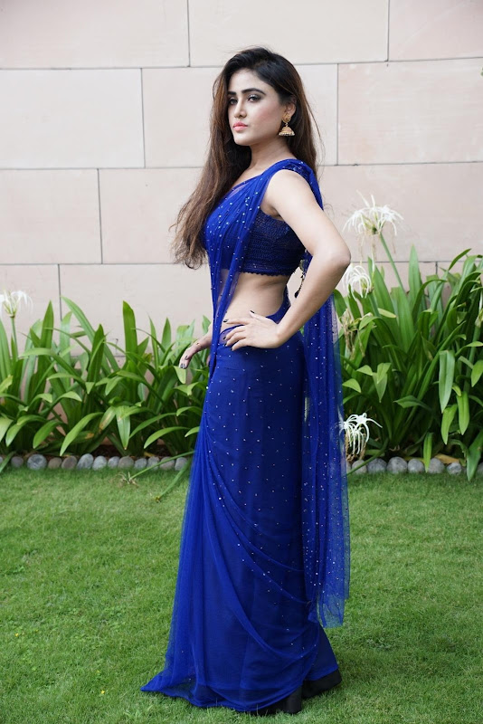 Sony Charishta Stills in Blue Saree