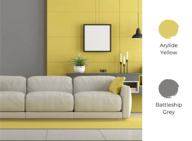 2 colour combination for living room