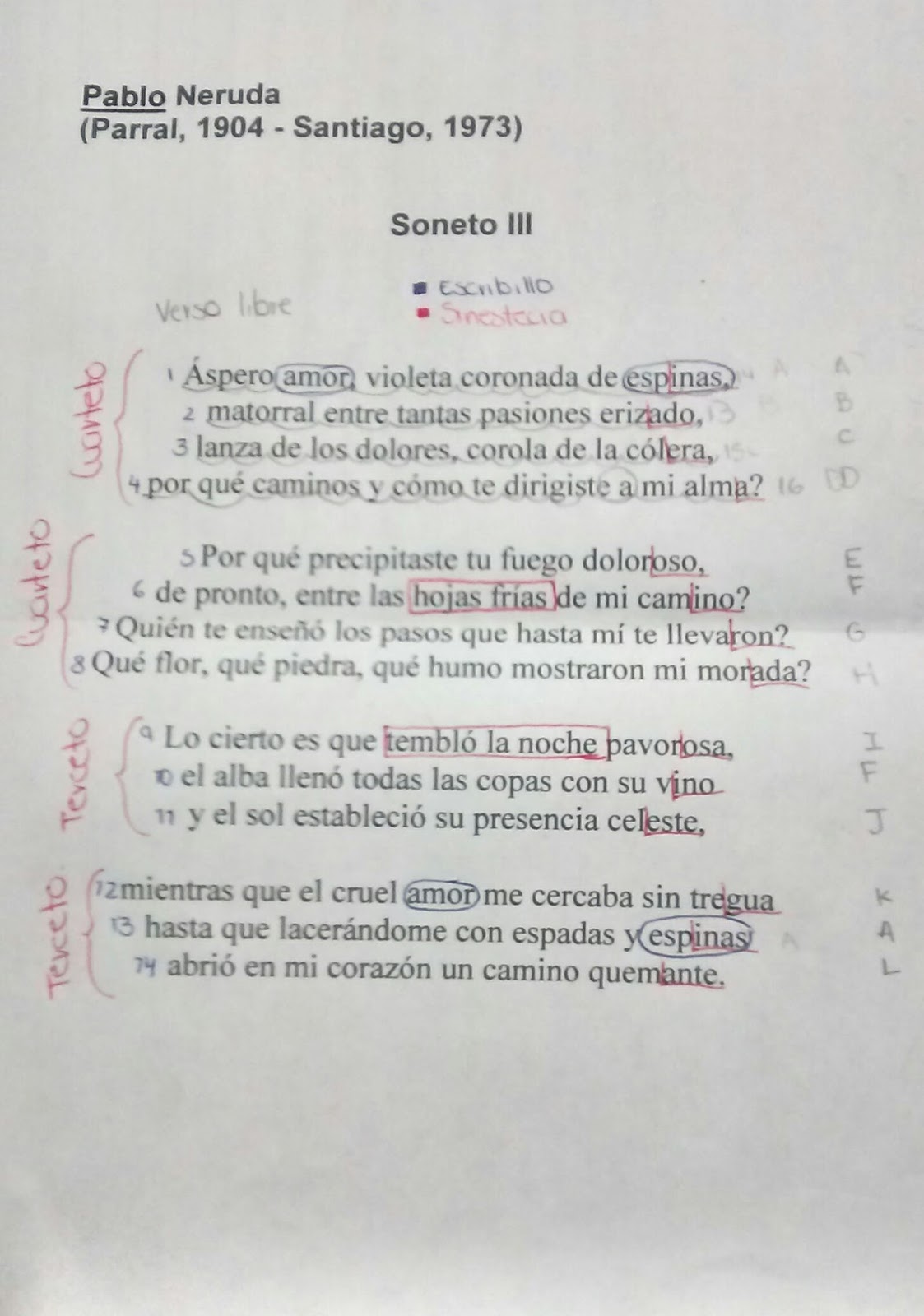 Ejemplo
s De Sonetos De 11 Silabas Y 14 Versos De Amor – Nuevo Ejemplo