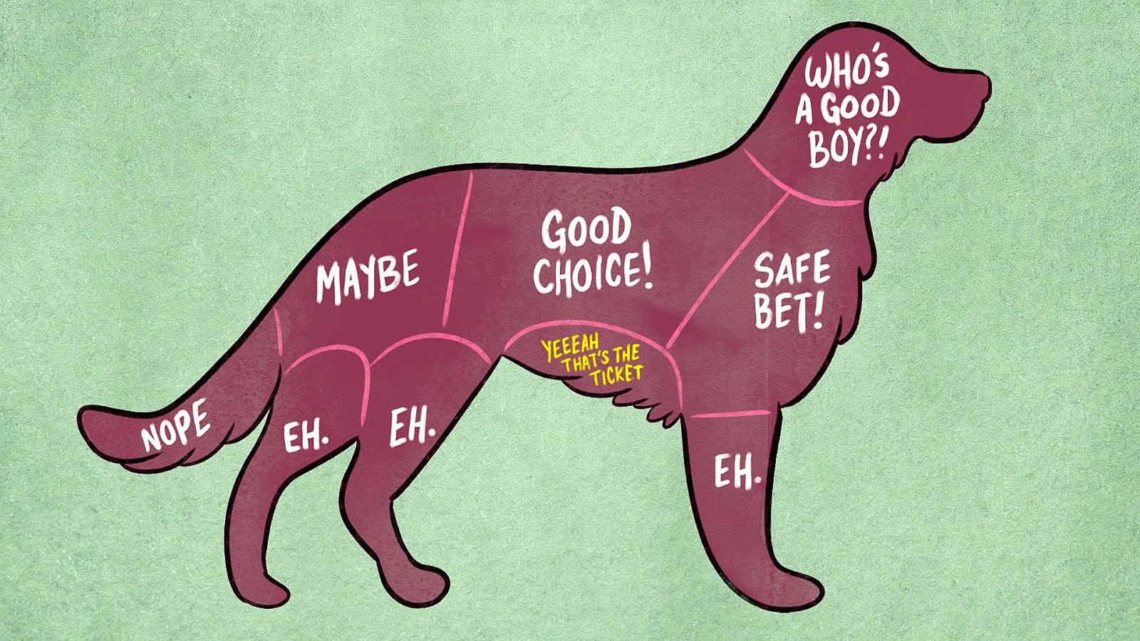 Where To Scratch A Dog Dog Choices