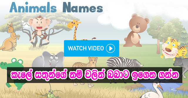 Learn Animals names with Pictures in English kids video