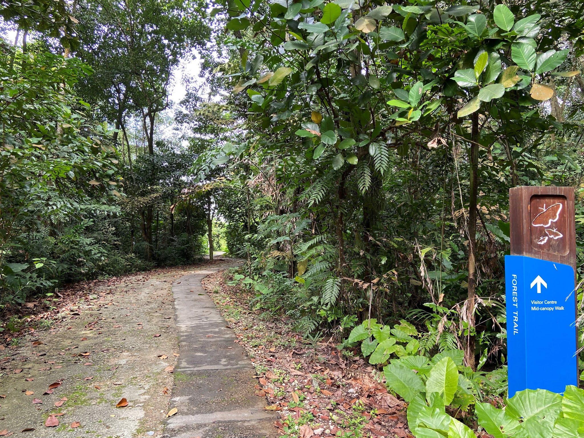 My Network Lab Cisco Transceiver Module Group (TMG) Compatibility Matrix