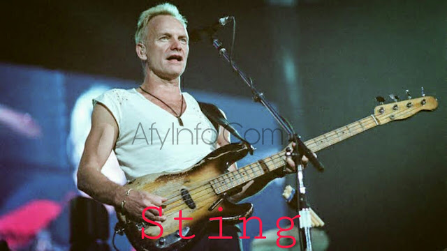 Gambar Sting Gambar Sting