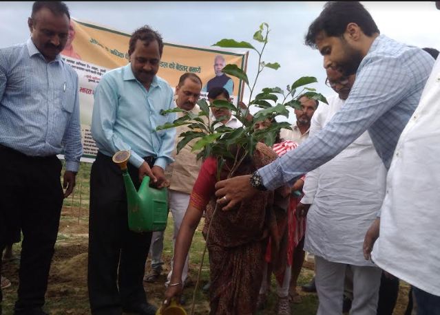 वृक्षरोपण महाकुंभ में लगाये गए 35 लाख से अधिक पौधे, स्मृति ईरानी ने दी बधाई - newsonfloor.com