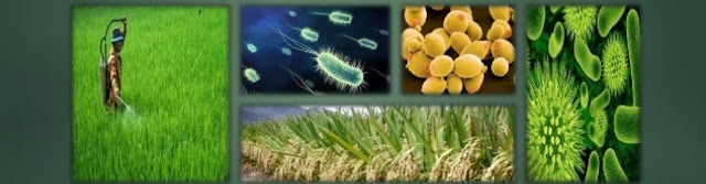 Manfaat Mikroorganisme Pada Kontrol Hama Tanaman dan Pangan