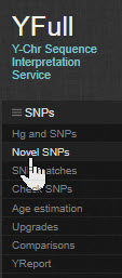 YFull menu showing Novel SNPs