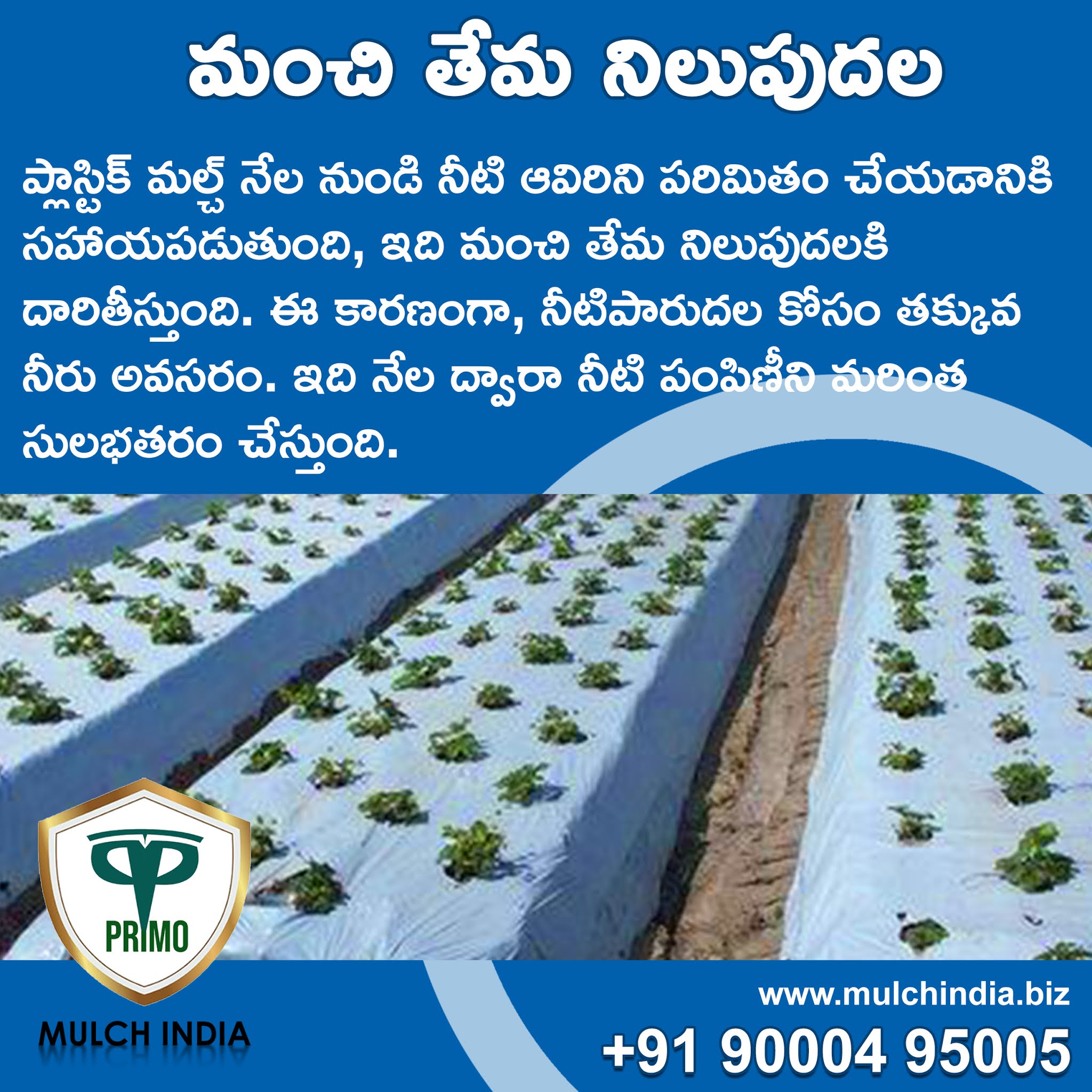 MulchIndia మంచి తేమ నిలుపుదల Mulch India Call+𝟵𝟭 𝟵𝟬𝟬𝟬𝟰𝟵𝟱𝟬𝟬𝟱 www
