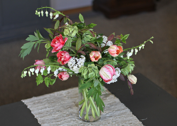 The Quirky Cottage Gardener Viburnum Tinis Taming The Monster