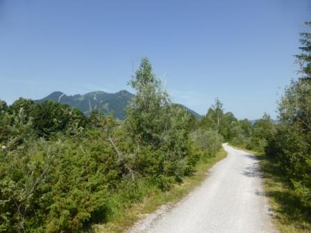 Leonie Lowenherz Page 21 Chan 9606447 Rssing Com