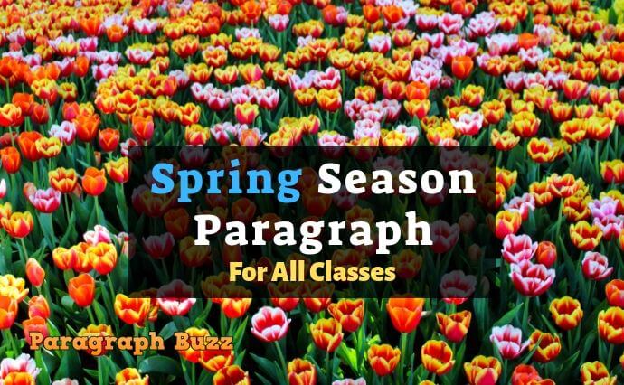 Essay on spring season for class 6 image