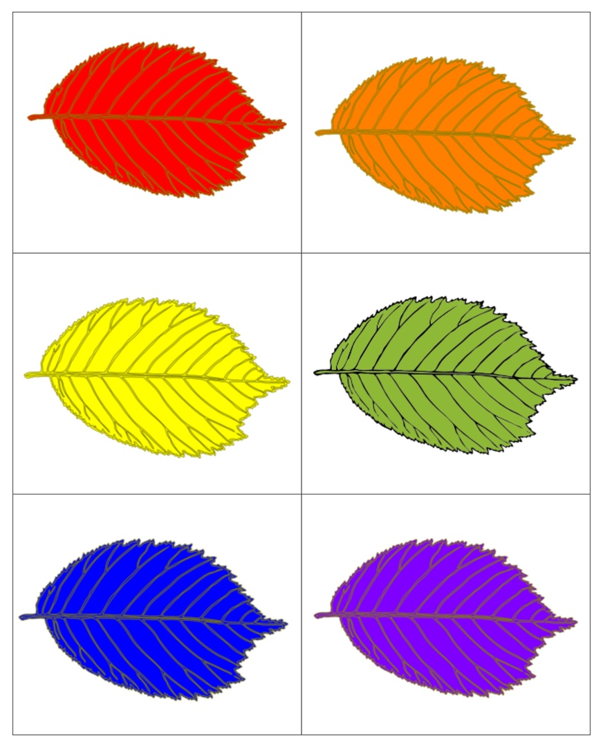 Как можно раскрасить 5 листочков. Листья разных цветов. Листики разного цвета. Разноцветные листья. Разноцветные листики.