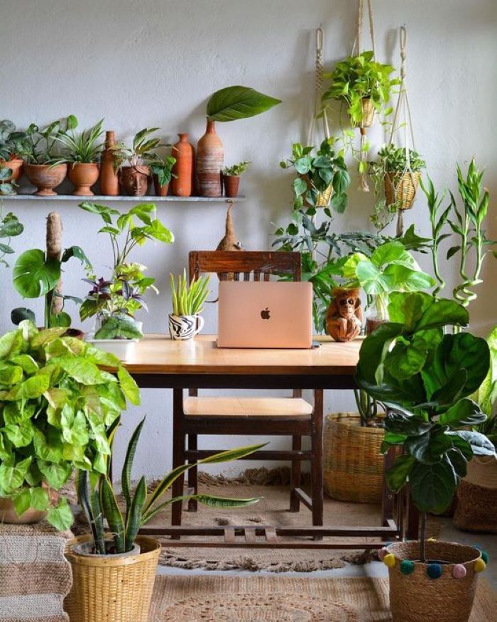Say No To Monday Blues With Plants In The Office-designaddictmom