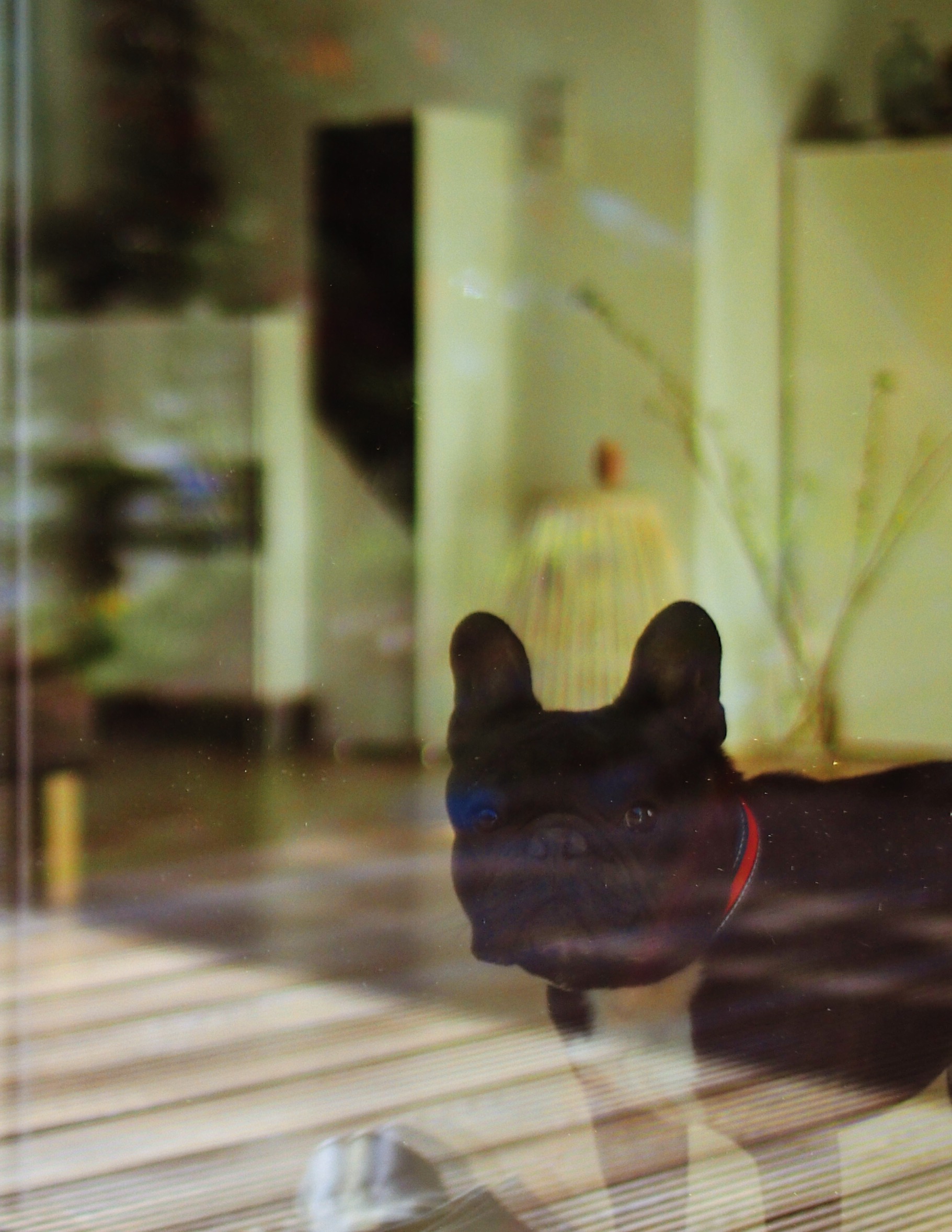 Genusskochen Food Und Lifestyle Blog