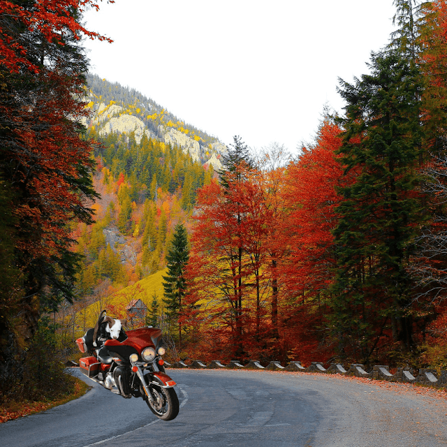 Fall road trip