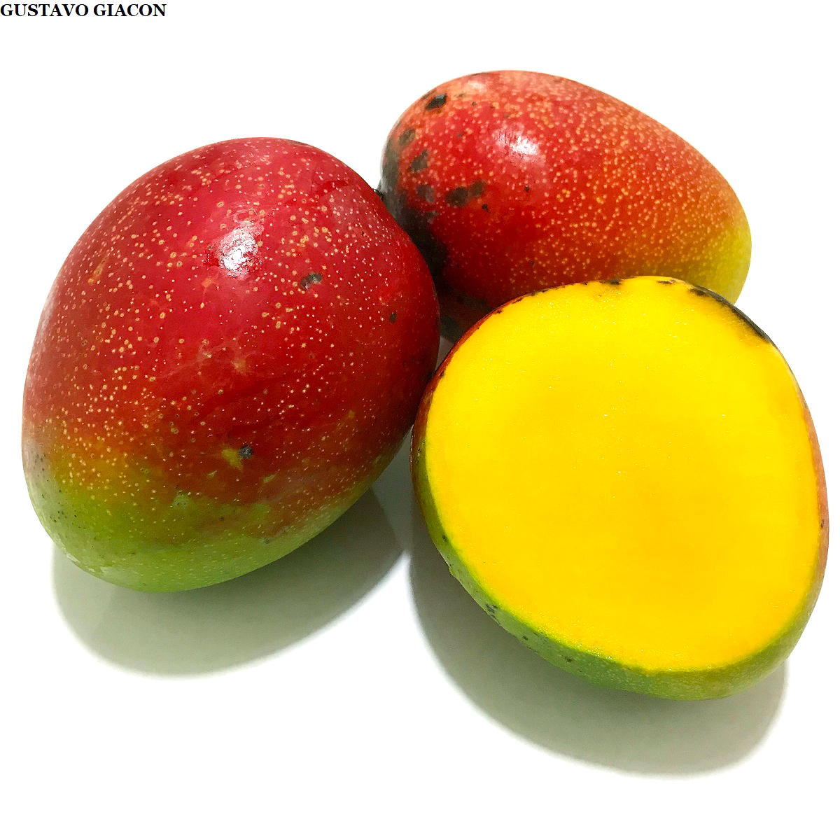 Viveiro Ciprest Plantas Nativas e Exóticas Manga Kent ( Mangifera